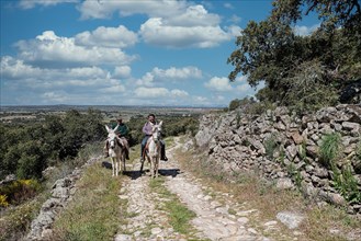 Spanish riders on mule
