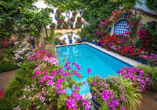 Many red geraniums in flowerpots in the inner courtyard with blue pond