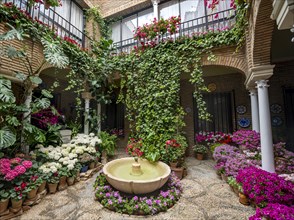 Patio decorated with flowers and fountain