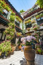 Patio decorated with flowers