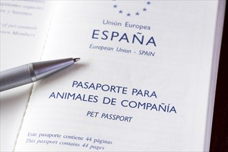 Spanish pet passport for small dog
