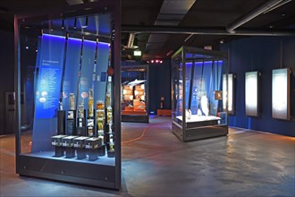 Exhibition room with showcases and taxidermy in the Ozeaneum