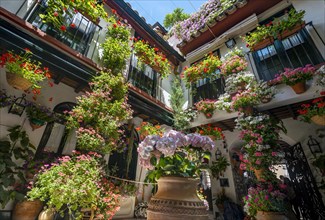 Patio decorated with flowers