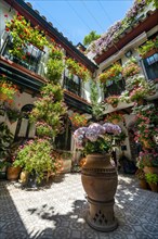 Patio decorated with flowers