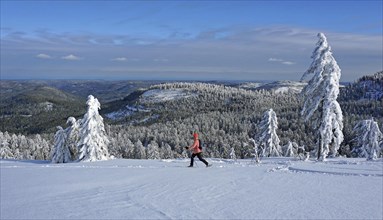 Snowshoe hiker walking through winter landscape