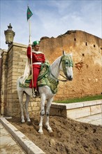 Mounted guard soldier in traditional dress in front of the unfinished mosque