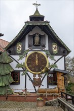 Largest cuckoo clock in the world