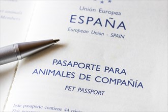 Spanish pet passport for small dog
