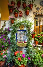 Fountain in the courtyard decorated with flowers