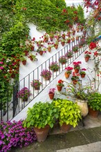 Stairs with flower decorated inner courtyard