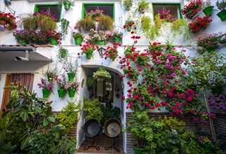 Patio decorated with flowers