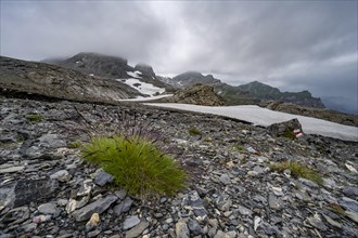 Barren alpine landscape