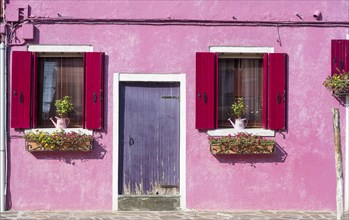 Pink house with windows and floral decorations