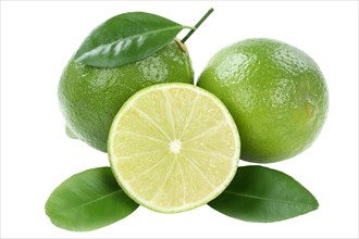 Lime fruit lime fruits cropped isolated against a white background