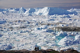 View over icebergs