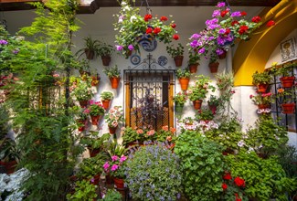 Window in the courtyard decorated with flowers