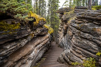 Path between Pancake Sandstones