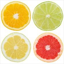 Citrus fruits southern fruits orange lemon fruits cut half crop cropped against a white background