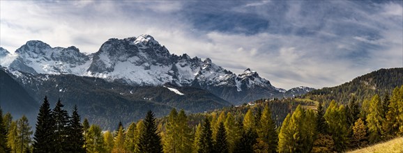 Snowy mountain peaks of the Civetta group with autumn lark forest in the foreground
