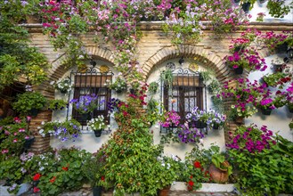 Patio decorated with flowers