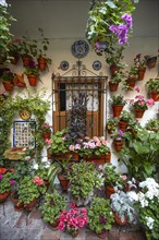 Window in the courtyard decorated with flowers