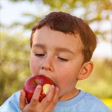 Child little boy eating apple fruit eating portrait outside spring