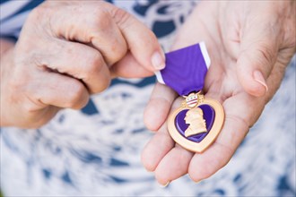 Senior woman holding the United States military purple heart medal in her hands