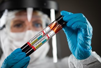 Female Doctor or Nurse Holding Test Tubes of Blood Labeled Positive for Coronavirus COVID-19 Disease