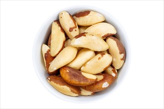 Brazil nuts nuts from above crop on a white background