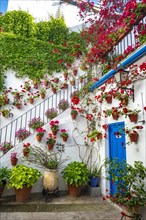 Stairs with flower decorated inner courtyard