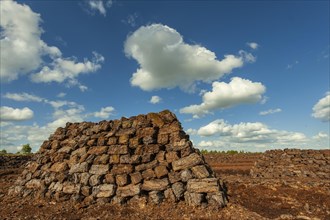 Peat cutting in the moor
