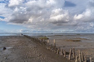 Beach at low tide with wooden groynes