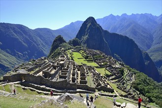 Inca ruined city with Mount Huayna Picchu