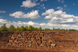 Peat cutting in the moor