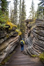 Hiker on path between pancake sandstones