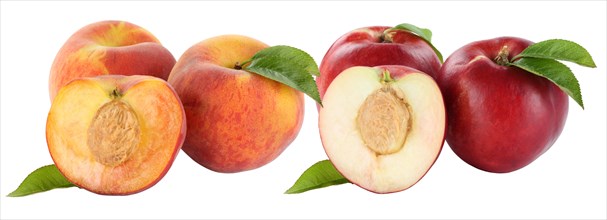 Peach Peaches and Nectarines Nectarine Fruit Fruits Crop isolated against a white background