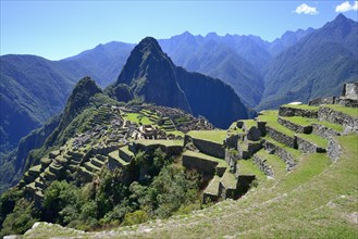 Inca ruined city with Mount Huayna Picchu