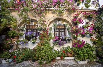 Patio decorated with flowers