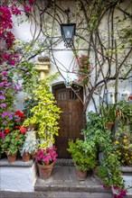 Entrance door in the courtyard decorated with flowers