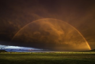 Rainbow on steppe with sunset