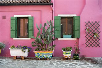 Pink house with flower pots