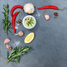 Cooking ingredients herbs rosemary spices text free space red hot chili pepper hotness
