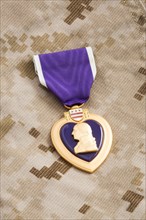 United states purple heart war medal on marine camouflage material