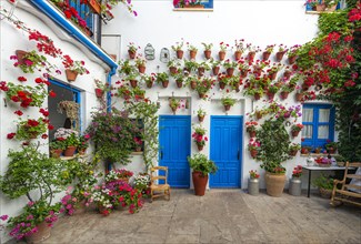 Blue entrance door in courtyard decorated with flowers