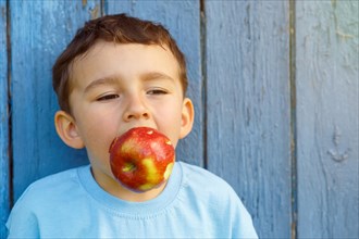 Apple fruit bite child little boy