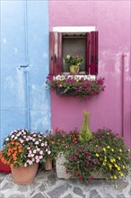 Window with flowers