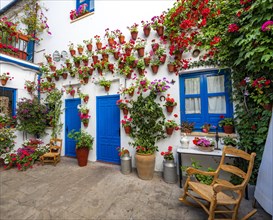 Blue entrance door in courtyard decorated with flowers
