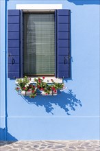 Blue wall with window and flower box