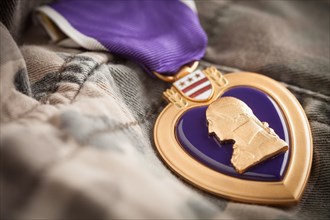 United states military purple heart medal resting on camouflage fatigues