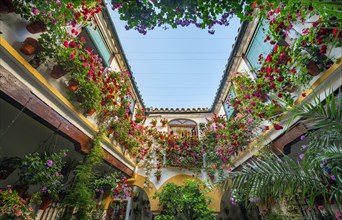 Patio decorated with flowers